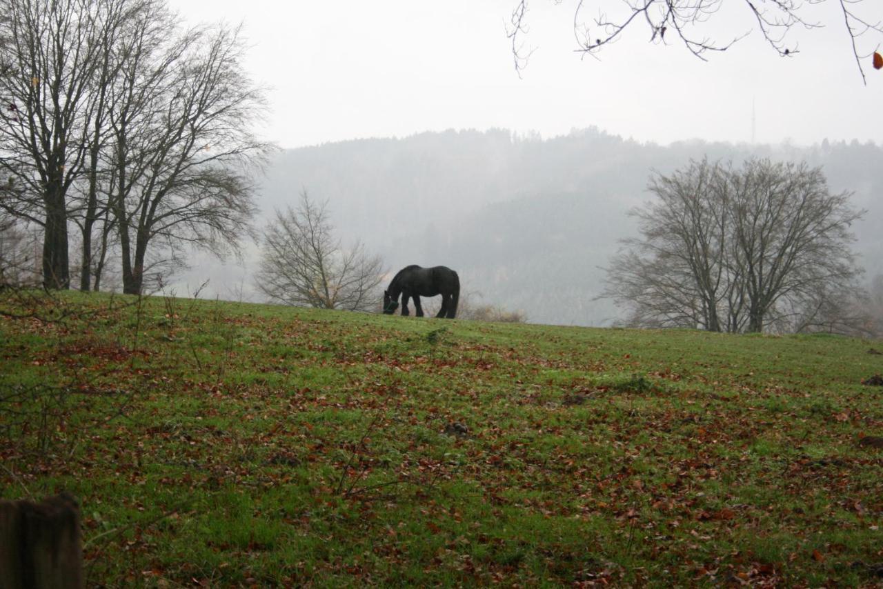 Le Lumadel Malmedy